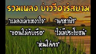 รวมเพลงบ่าววี อาร์สยาม - แมลงเม่าเหงาใจนกหาฟ้าขอนไม้กับเรือไม่มีประโยชน์หุ่นไล่กา