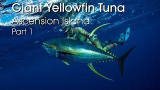 Spearfishing Ascension Island - HUGE Yellowfin Tuna - PART 1 HD