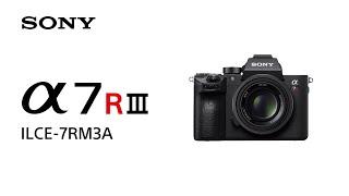 Product Feature  Alpha 7R III ILCE-7RM3A  Sony  α