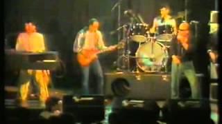 Cuby & the Blizzards Featuring Herman Brood - Reunion 1985