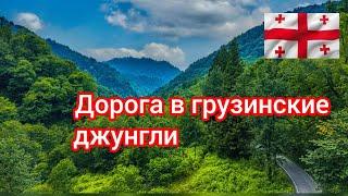 Грузия. Прогулка по горному серпантину. Лето - Зимой ?  В Батуми так бывает.