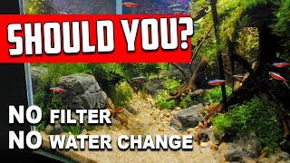 Why No Filter No Water Change Aquariums Are NOT For Everyone