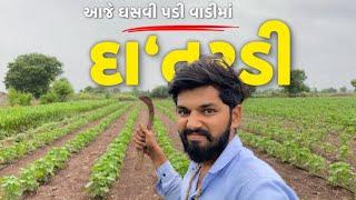 ઘસવી પડી વાડીમાં દાતરડી  Village Life Vlog