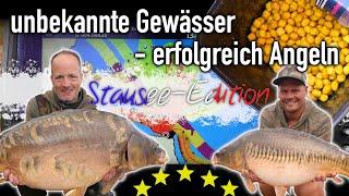 Unbekannte Gewässer - erfolgreich Angeln Stausee-Edition Pingel & Brauns