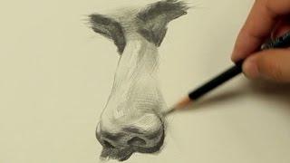 Cum să desenezi un nas #4
