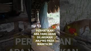 APA YANG DILAKUKAN ANJ*NG PADA WANITA INI..? subscribe bos#shorts