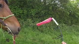 bridleway issues