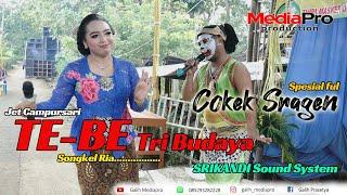 Full Cokek Sragenan TE-BE Tri Budaya Campursari Songkel Ria  Srikandi Sound