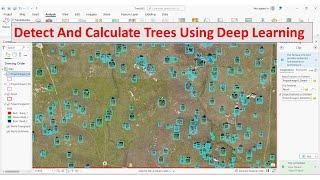 ArcGIS Pro Detect and calculate Trees using deep learning