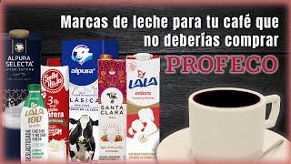 Leche ADULTERADA en tu Café  Revela ESTUDIO de PROFECO  Café con Leche