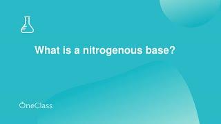 What is a nitrogenous base?