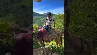 Thailand Girl Bundok Vlog  Thailand Girl Vlog