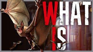 What is the Infected Bat? Resident Evil 0