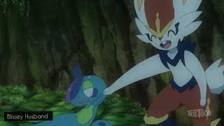 Pokemon Master Journeys Cinderace Knows How To Make Drizzile Come Out Of The Cave.ENGLISH DUBBED