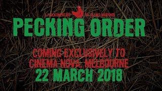 PECKING ORDER Trailer