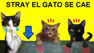 Simulador de gato Stray pero juego con Luna y Estrella los gatitos  Videos de gatos en español