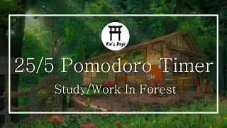 255 Pomodoro Timer  In Forest   Ambience Nature Sounds