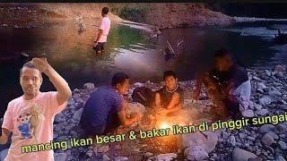 mancing beruntung  dapat ikan besar di sungai liar tengah hutan