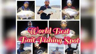 One Of The World Best Bait Fishing  Spot # Oman Fishing # Fishing