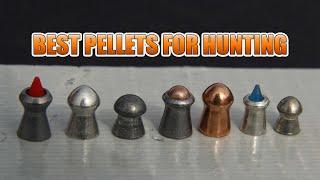 Best Airgun Pellets for Hunting - Madman Review