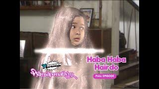 Wansapanataym Haba Haba Hairdo Full Episode  YeY Superview