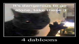 4 dabloons cat multiuniverse