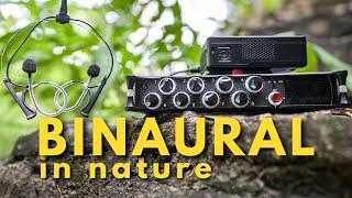 DPA 4560 Binaural In-Ear Microphones in NATURE