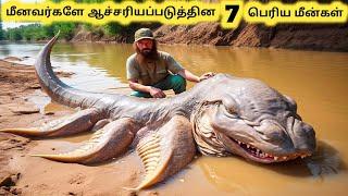 மிகப்பெரிய மீன்கள்  Seven Biggest Fish Catches Of All Time  Tamil Info Share