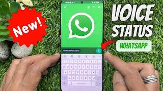 How to Share Voice Recording as WhatsApp Status  WhatsApp Voice Status Update 2023