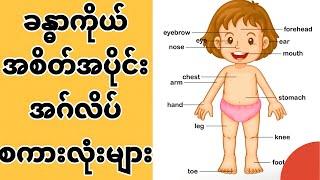 Toe nailခြေသည်း-Human Body Parts Name in english