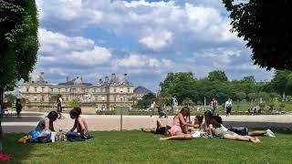 12 Perfect Spots for Your Picnic in Paris Episode 190