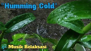 Musik Relaksasi ‼️ Humming Cold ‼️ Healing Music