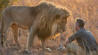 Momen Haru Pertemuan Singa dan Majikan yang Terpisah Bertahun-tahun