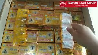 Tawon Liar Video Wild Wasp Herbs Original