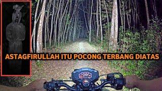 MASUK HUTAN KALIMANTAN SENDIRIAN 