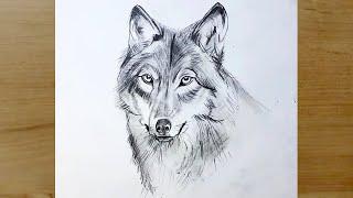 Adım Adım Kurt Nasıl Çizilir  Karakalem Kolay Kurt Çizimi  How to Draw a Wolf