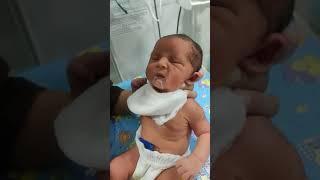 Hungry baby girl  NICU  ️#medical #nicu #cute #newborn #knowledgeable