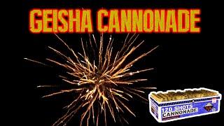 GEISHA-RUBRO CANNONADE 120 SCHUSS VERBUNDBATTERIE PYROLAND 11599€ BALD IST SILVESTER