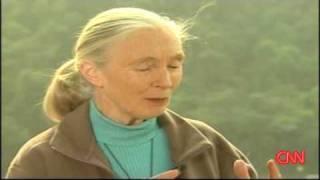 Jane Goodall on State of the World