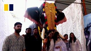 Robot takes over tough role of elephants in rituals