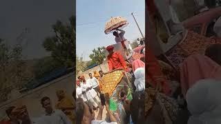 दादु धाम करडाला  नरेना पीठाधीश्वर जी महाराज  Dadu dham kardala  youtub short video 