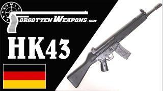 HK43 The 5.56mm Paramilitary Rifle