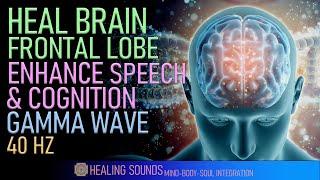 Heal Brain Frontal Lobe  Enhance Your Speech Reasoning & Problem Solving Skills  Gamma Wave  40HZ