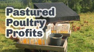 HOW TO RUN A PROFITABLE PASTURED POULTRY BUSINESS S5 ● E40