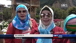 NET JABAR - WISATA KAWAH PAPANDAYAN