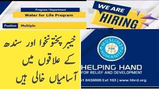 Helping Hand NGO jobs 2023  New Jobs 2023 in Pakistan Today