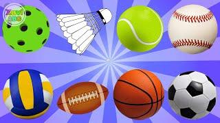 Learn Sport Balls Names and Sounds with Soccer Tennis Basketball Baseball and More