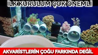 KARMA CİKLET AKVARYUMU NASIL OLMALI akvaryum kurulumu akvaryum balıkları