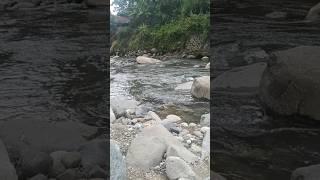 Ngintip yang mandi di sungai #suasanapedesaan #shortvideo #kampungsunda #perkampungansunda