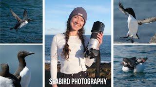Seabird & Seal Photography  The Farne Island England  Fujifilm 150-600mm